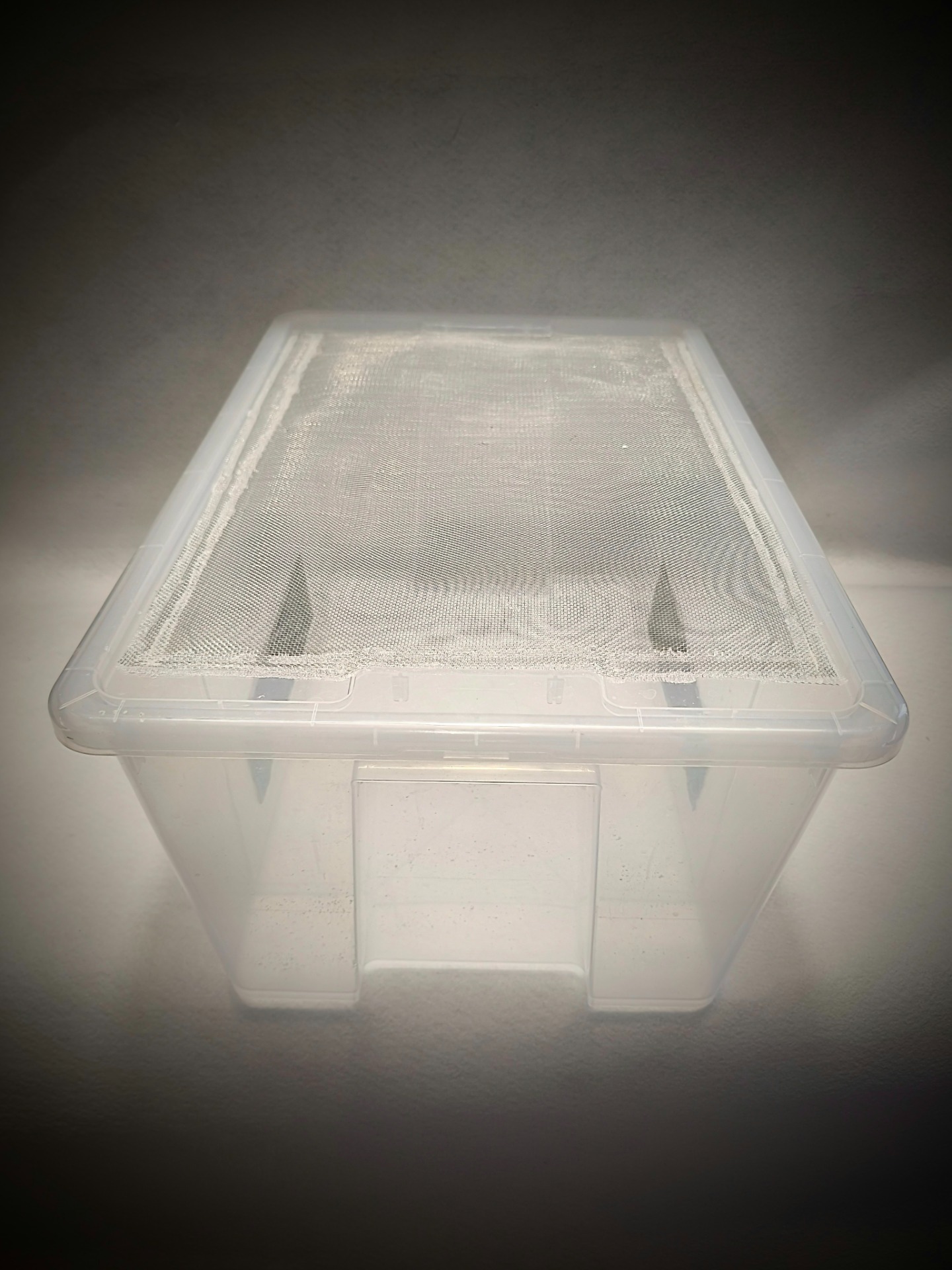 Box na cvrčky střední